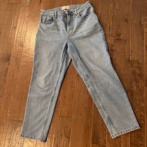 Everlane Curvy Cheeky Straight Jean